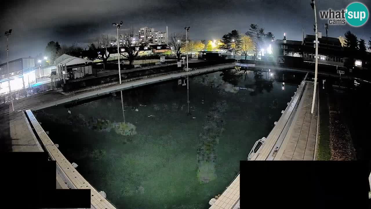 Webcam Celje – Hauptschwimmbad
