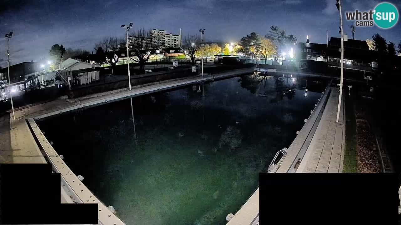 Webcam Celje – Hauptschwimmbad
