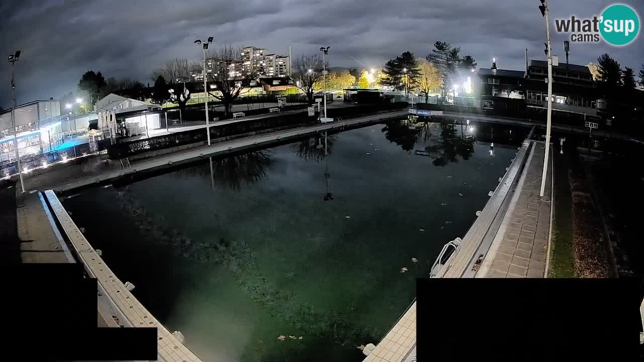 Webcam Celje – Main swimming pool