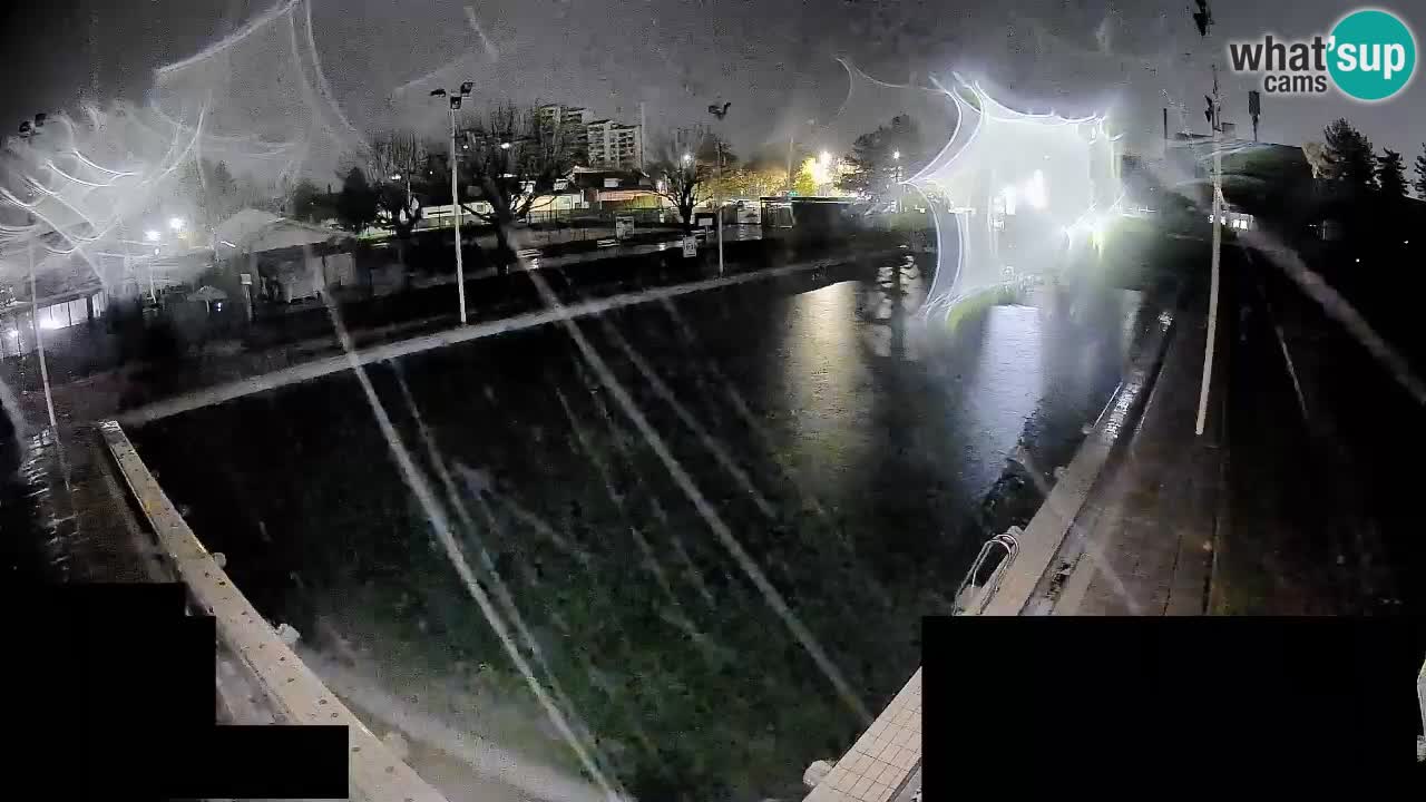 Cámara web Celje – Piscina principal