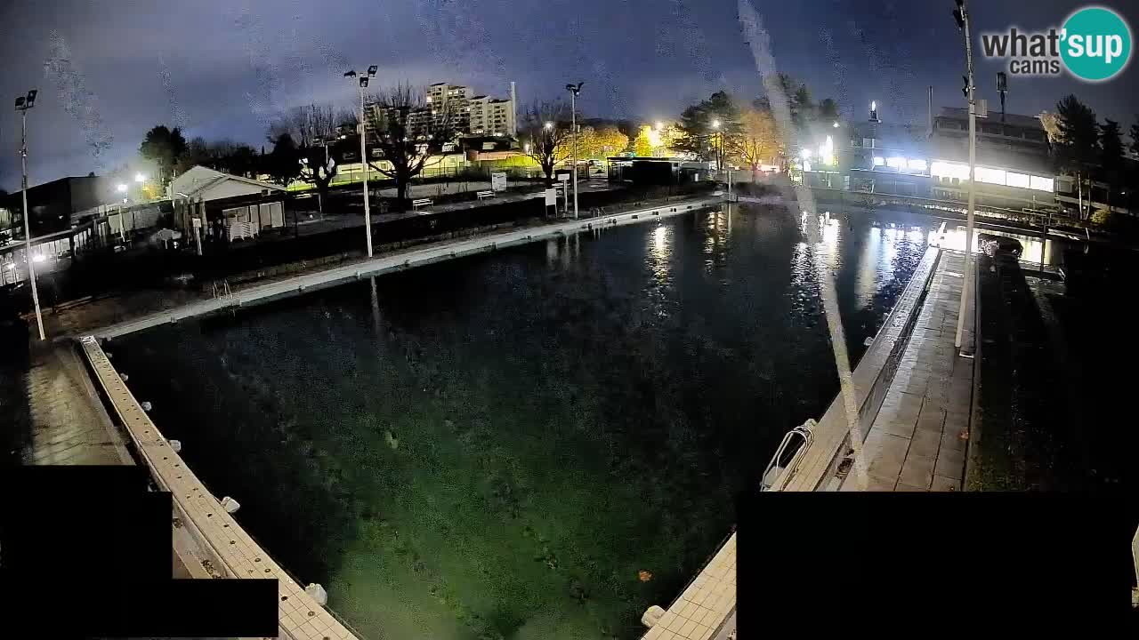 Webcam Celje – Main swimming pool