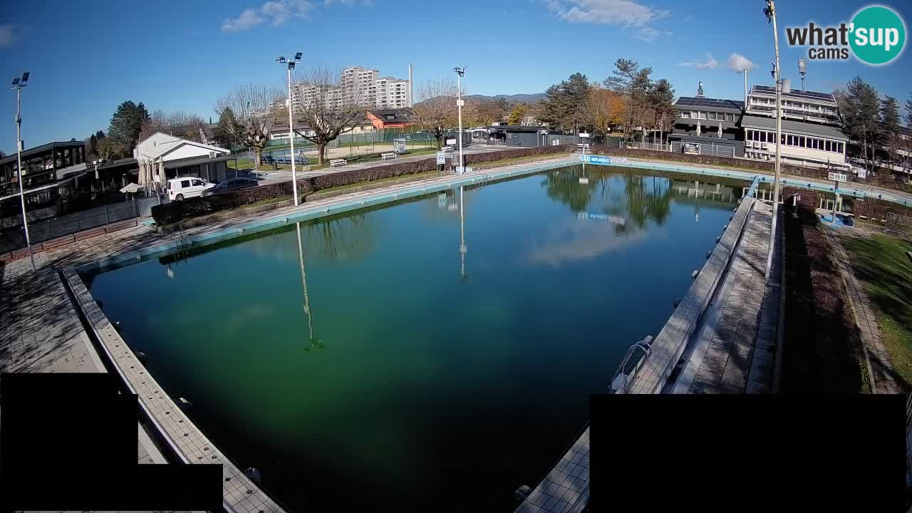Webcam Celje – Main swimming pool