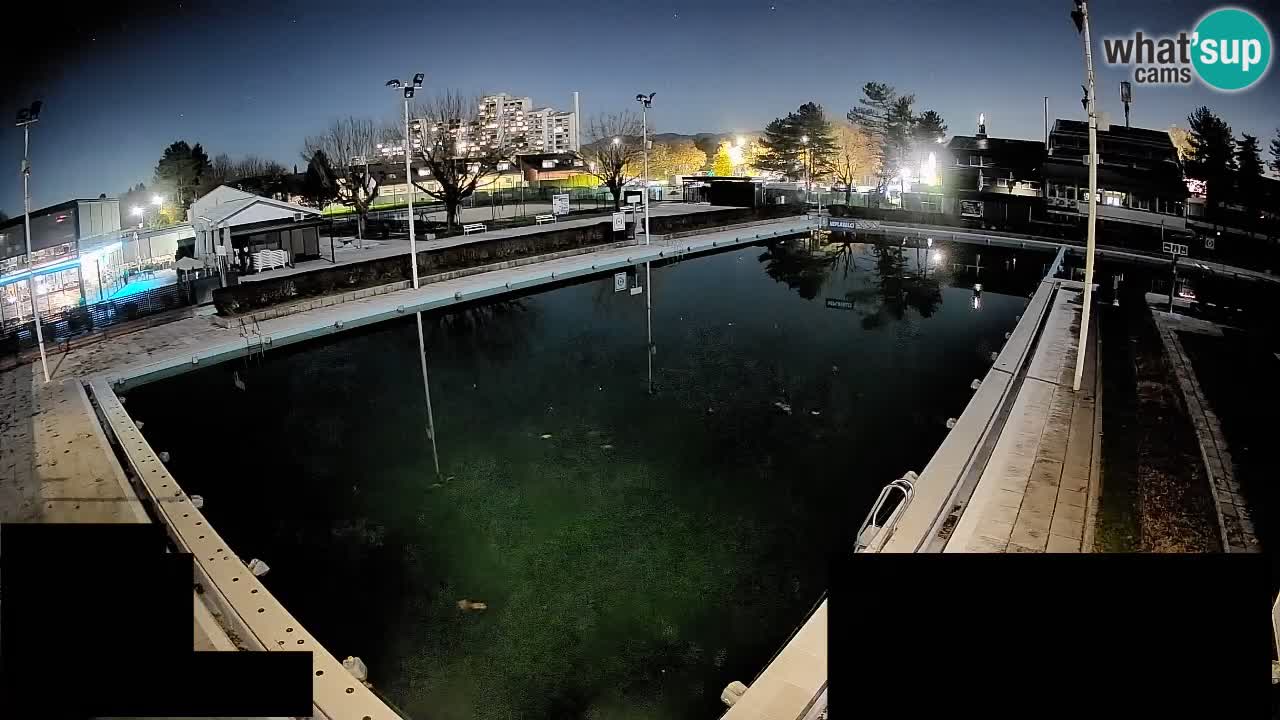 Webcam Celje – Hauptschwimmbad