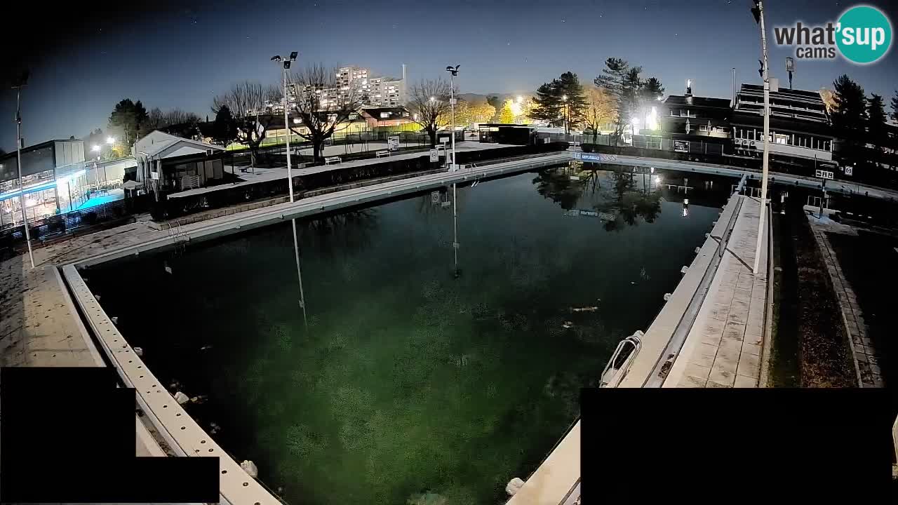 Webcam Celje – Hauptschwimmbad