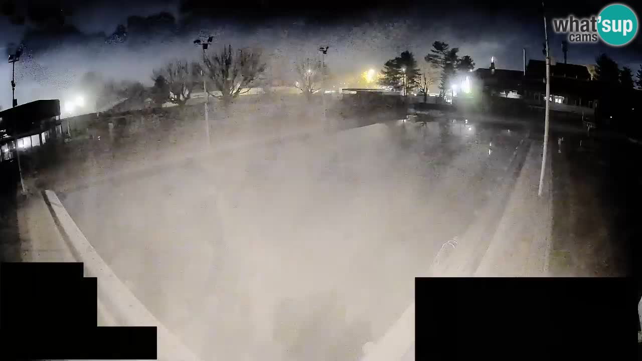 Webcam Celje – Main swimming pool