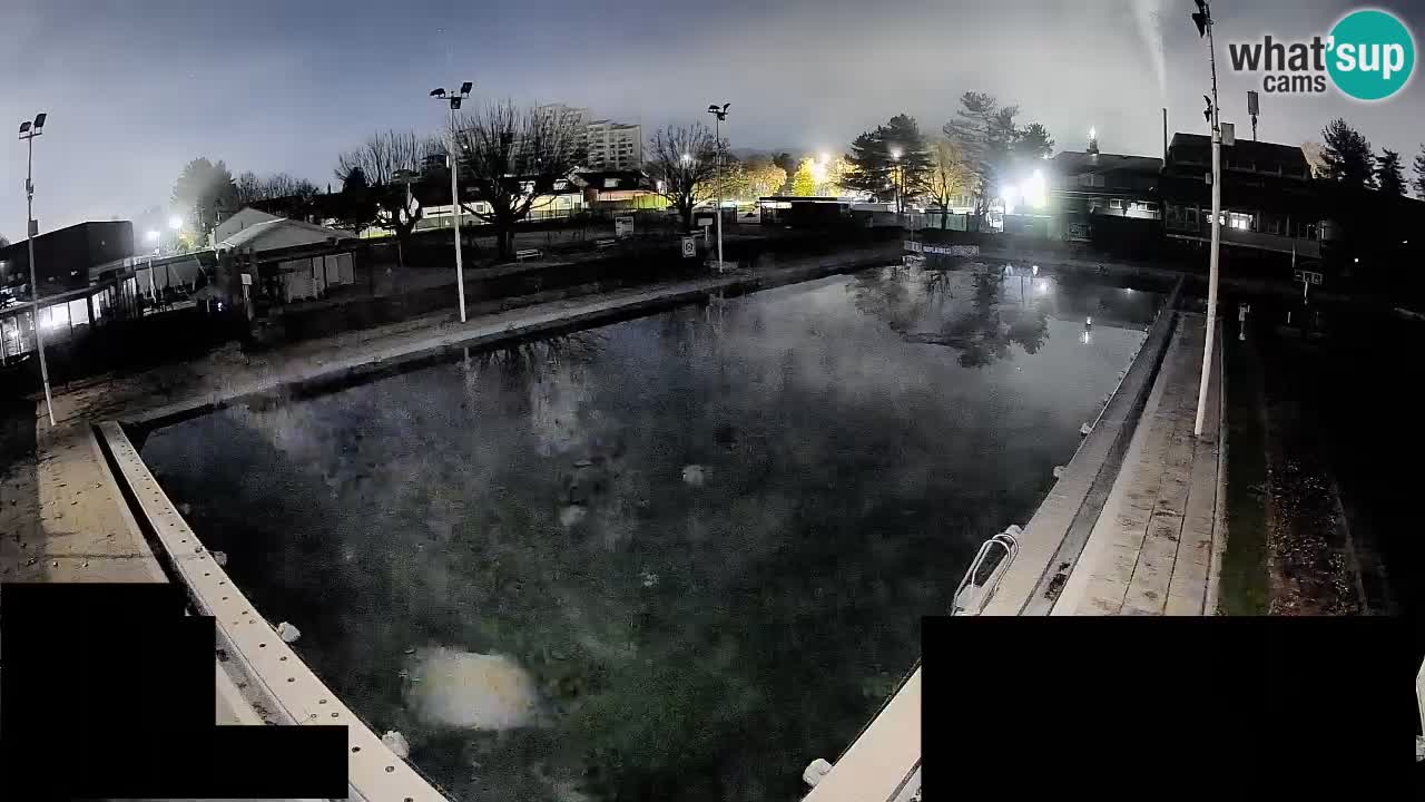 Cámara web Celje – Piscina principal