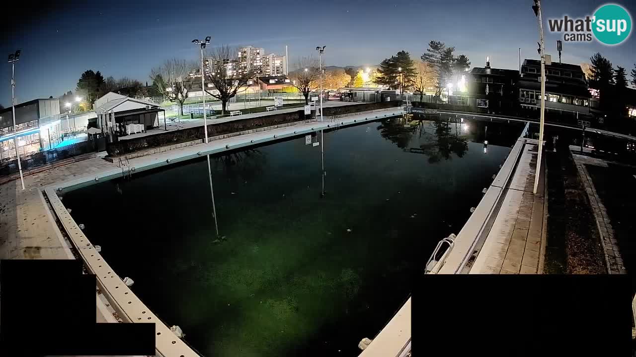 Webcam Celje – Main swimming pool