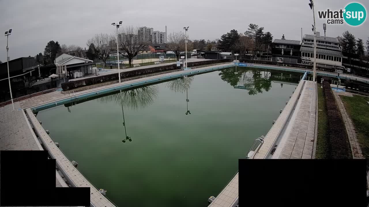 Webcam Celje – Main swimming pool