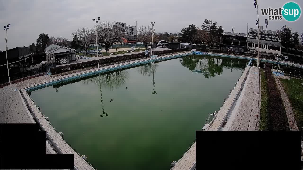 Webcam Celje – Hauptschwimmbad
