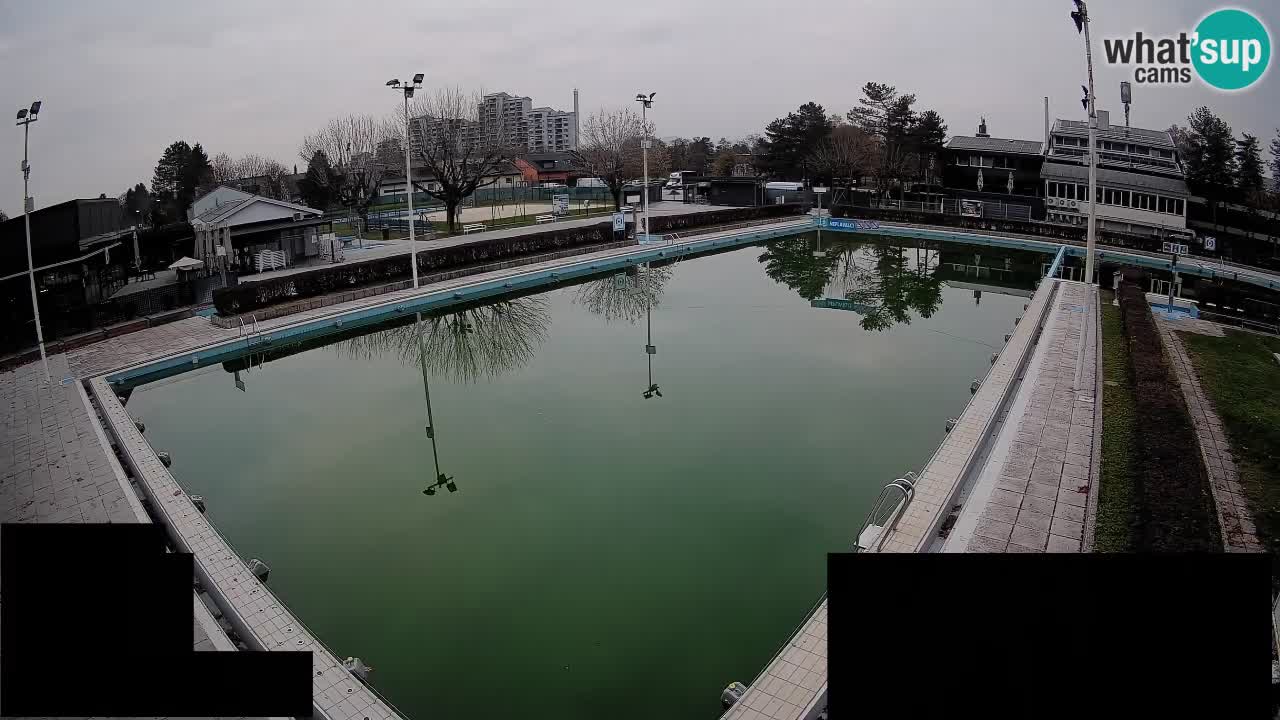 Webcam Celje – Main swimming pool