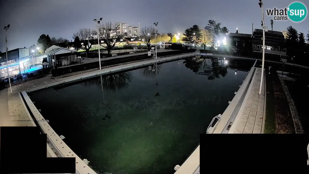 Webcam Celje – Main swimming pool