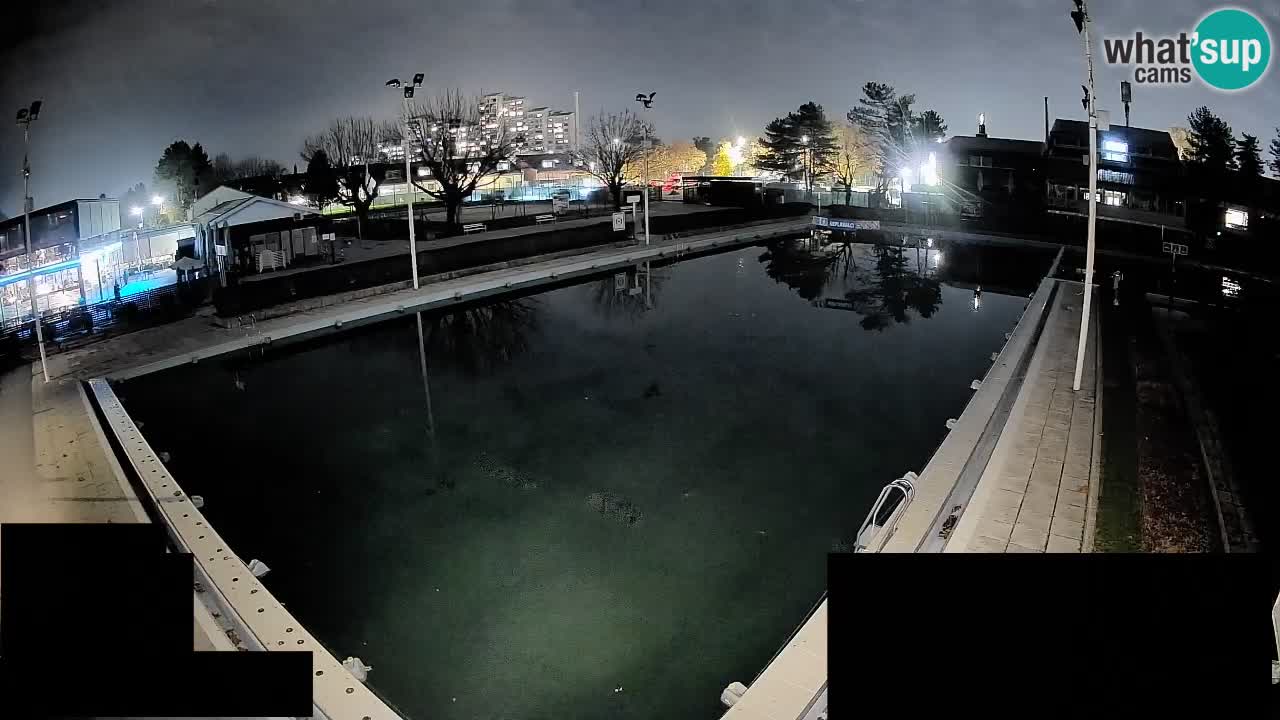 Webcam Celje – Main swimming pool