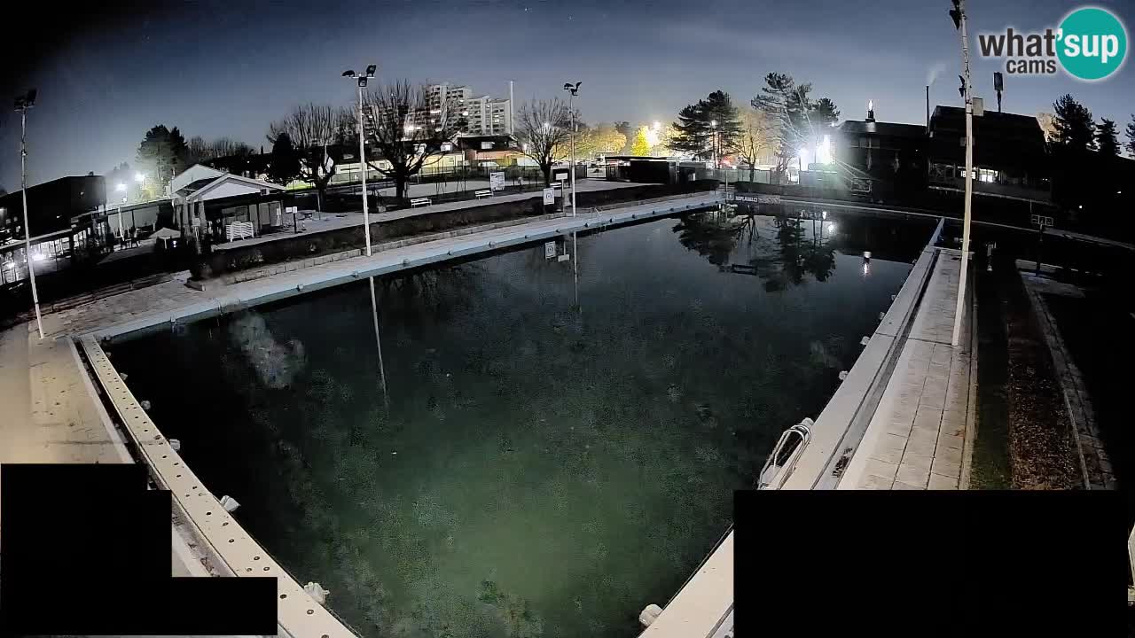 LiveCam Celje – Piscina principale
