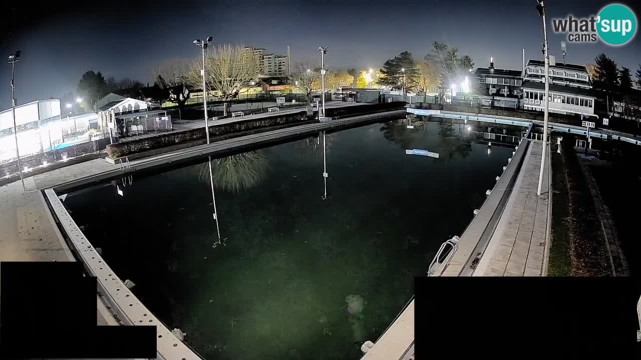 Webcam Celje – Main swimming pool