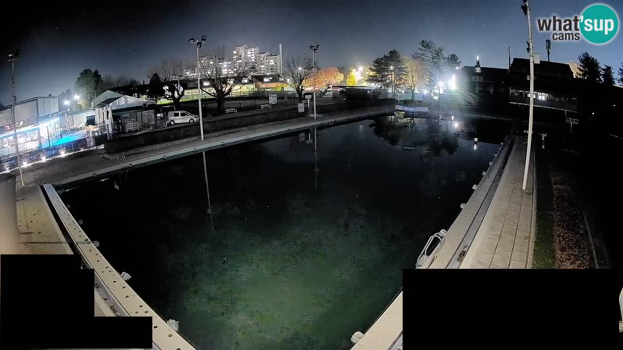 LiveCam Celje – Piscina principale
