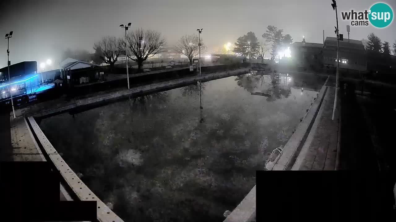 Webcam Celje – Hauptschwimmbad