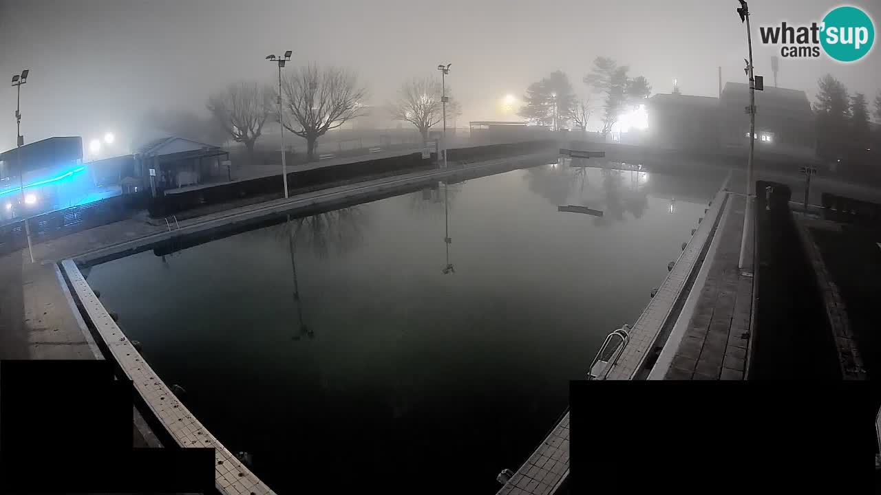Webcam Celje – Main swimming pool