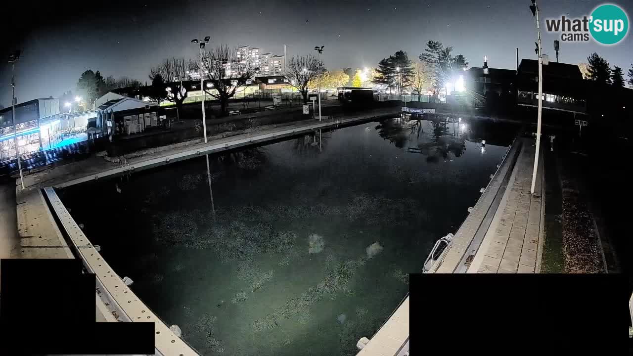 Cámara web Celje – Piscina principal