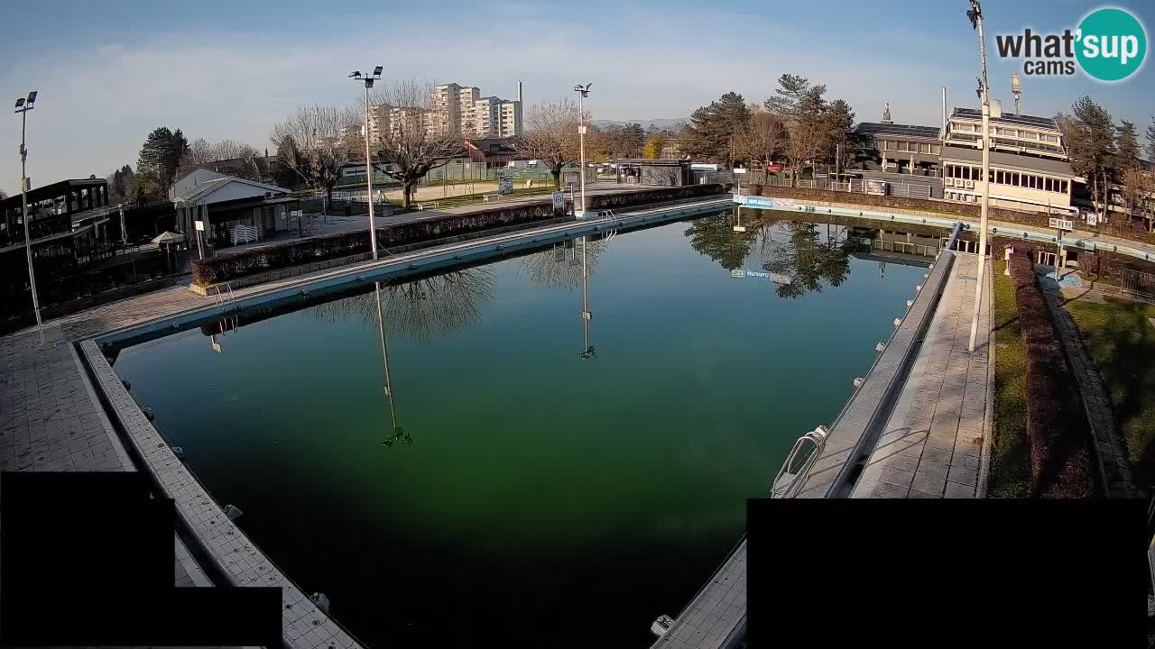 Webcam Celje – Main swimming pool