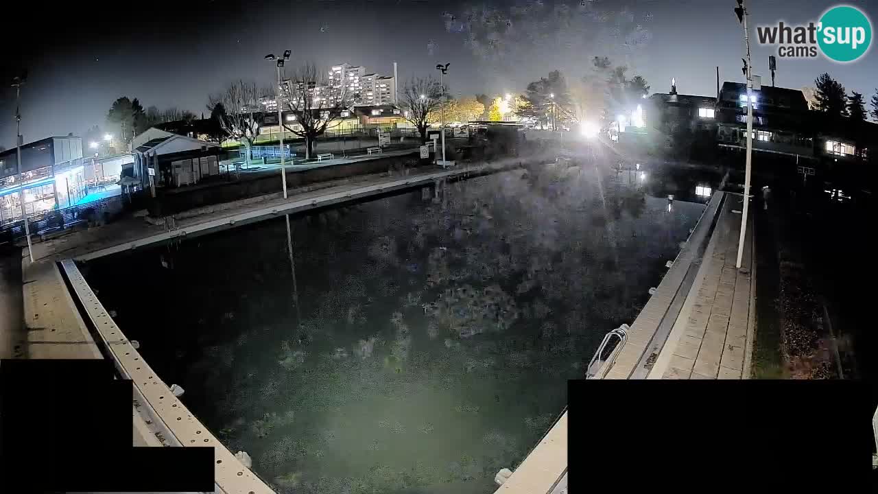 Webcam Celje – Piscine principale