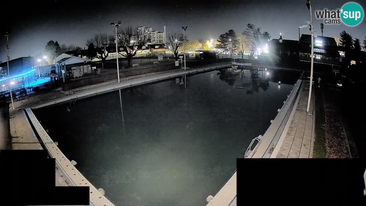 Webcam Celje – Main swimming pool