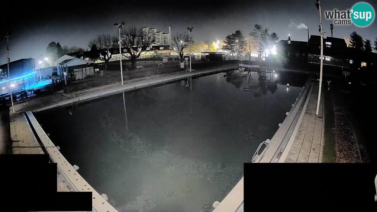 Cámara web Celje – Piscina principal