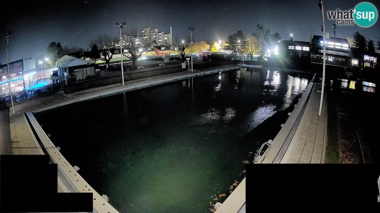 Webcam Celje – Piscine principale