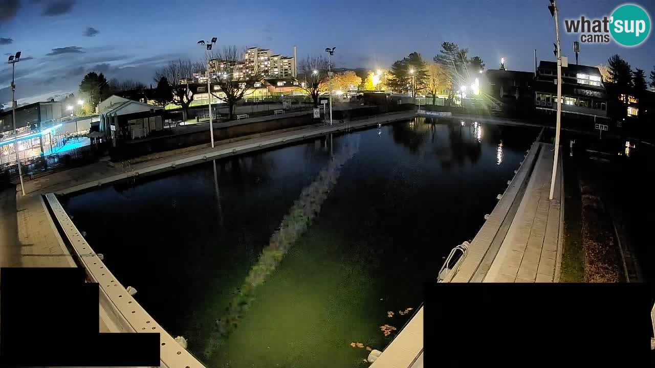 Webcam Celje – Piscine principale