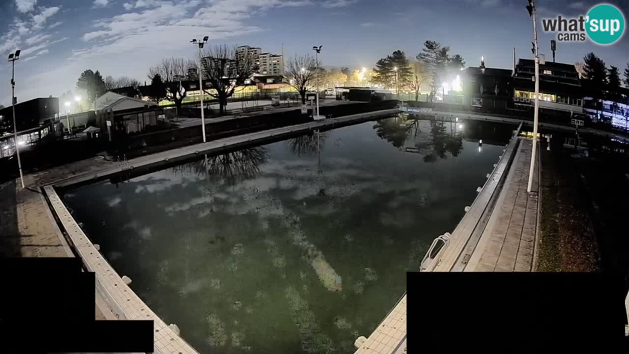 Kamera v živo Celje Letno kopališče  – glavni bazen