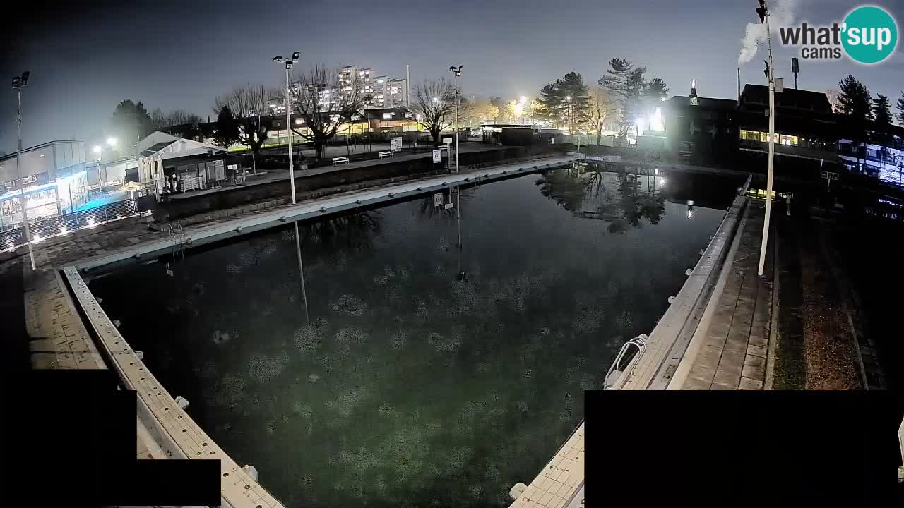Webcam Celje – Main swimming pool