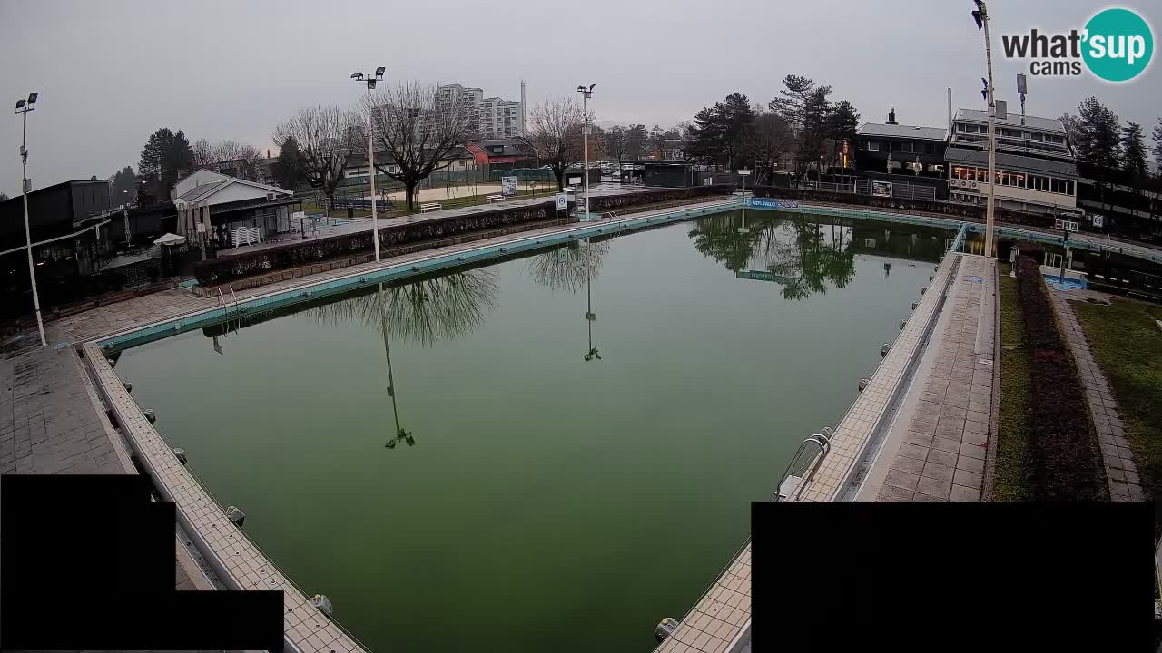 Webcam Celje – Main swimming pool