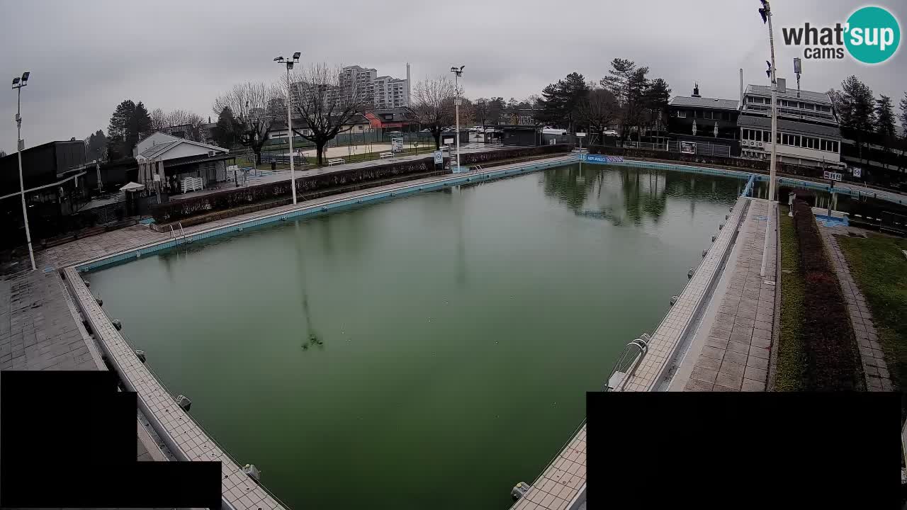 Webcam Celje – Main swimming pool
