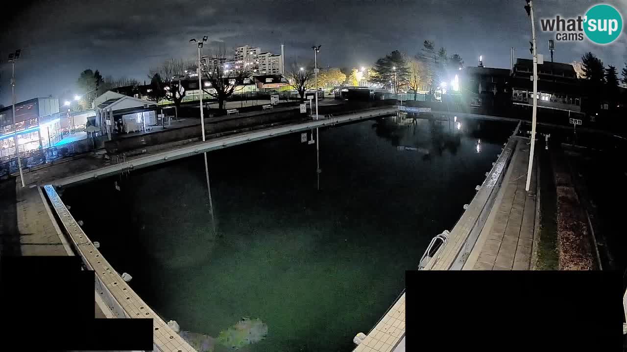 Webcam Celje – Main swimming pool