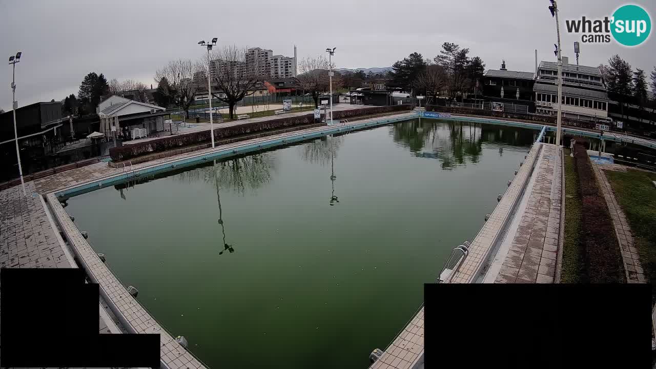 LiveCam Celje – Piscina principale