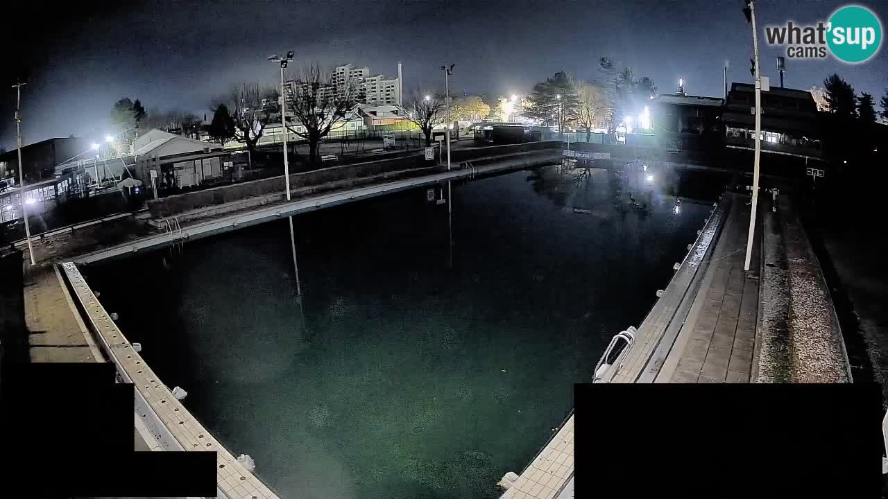 Webcam Celje – Main swimming pool
