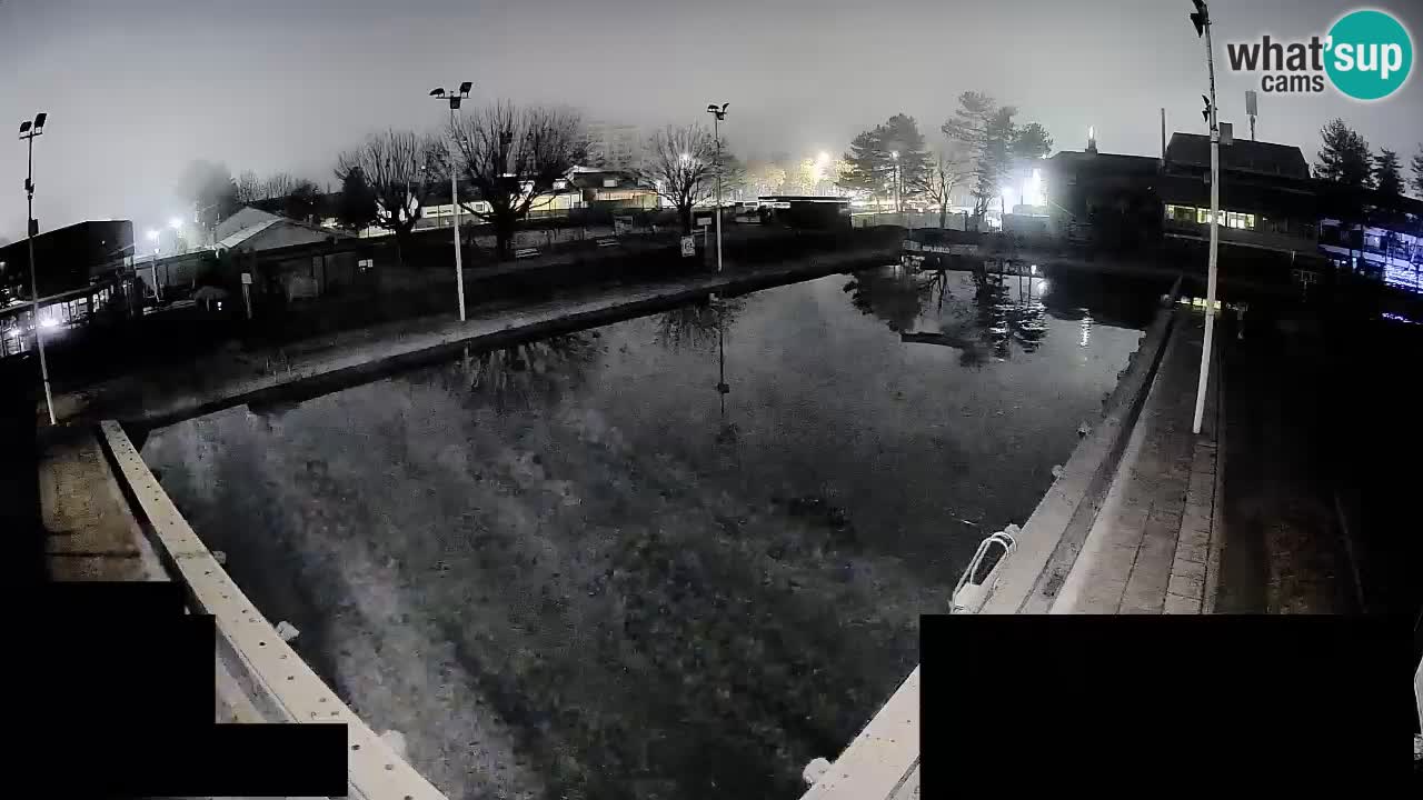 Webcam Celje – Piscine principale
