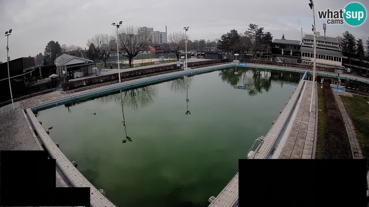 Kamera v živo Celje Letno kopališče  – glavni bazen
