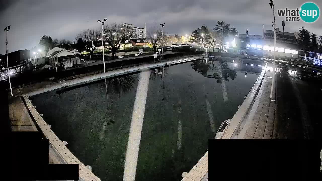 Webcam Celje – Main swimming pool