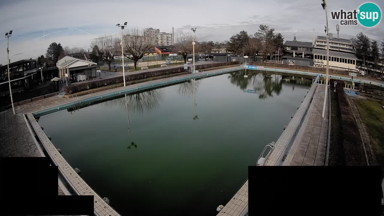 Webcam Celje – Main swimming pool