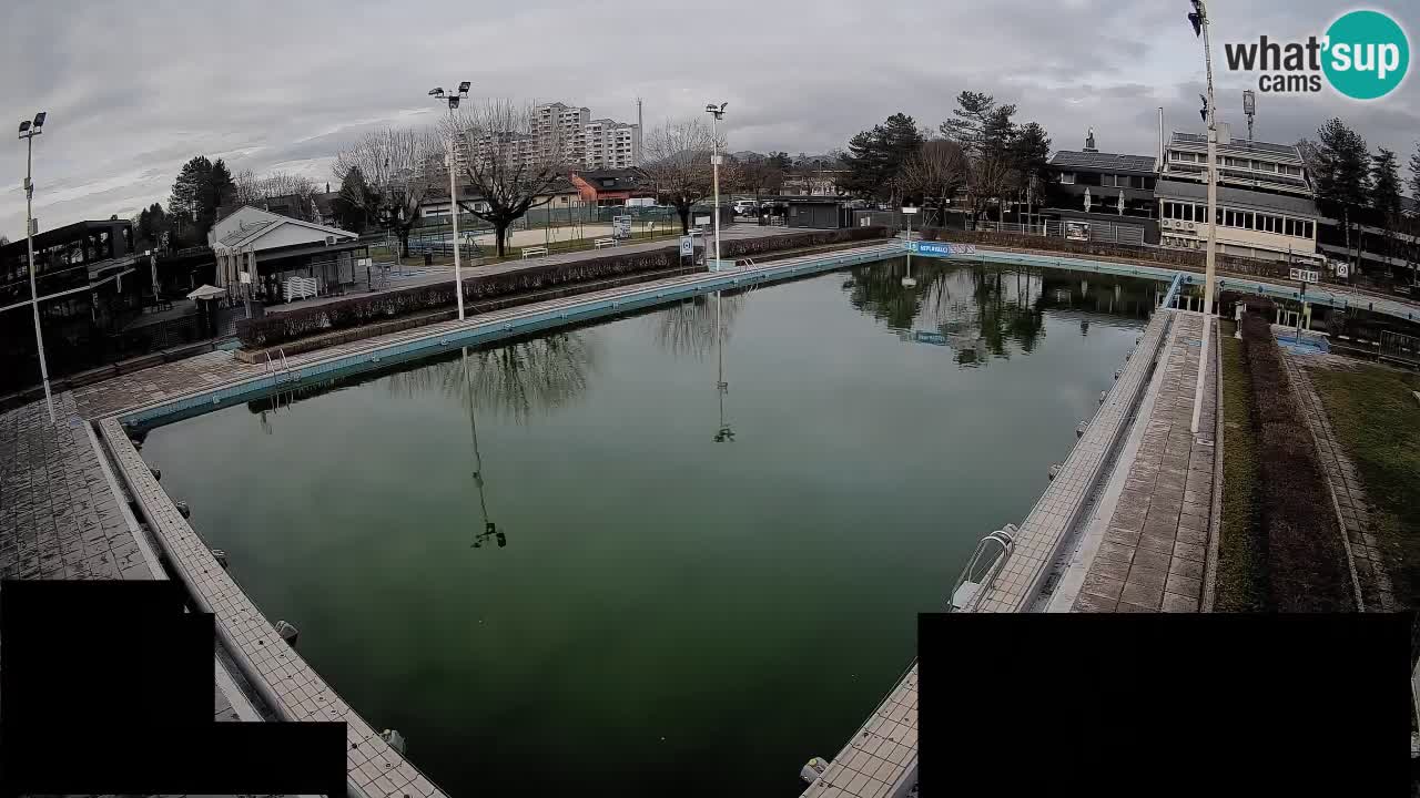 Webcam Celje – Main swimming pool