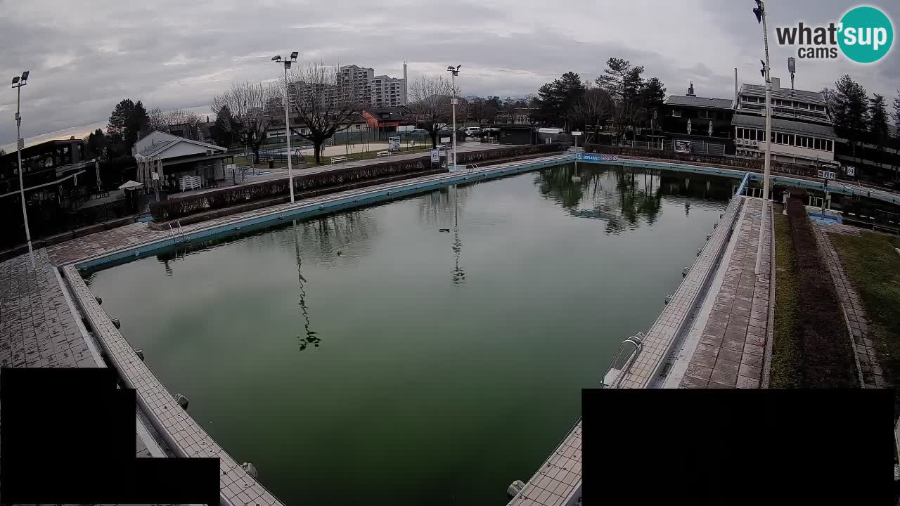 Cámara web Celje – Piscina principal