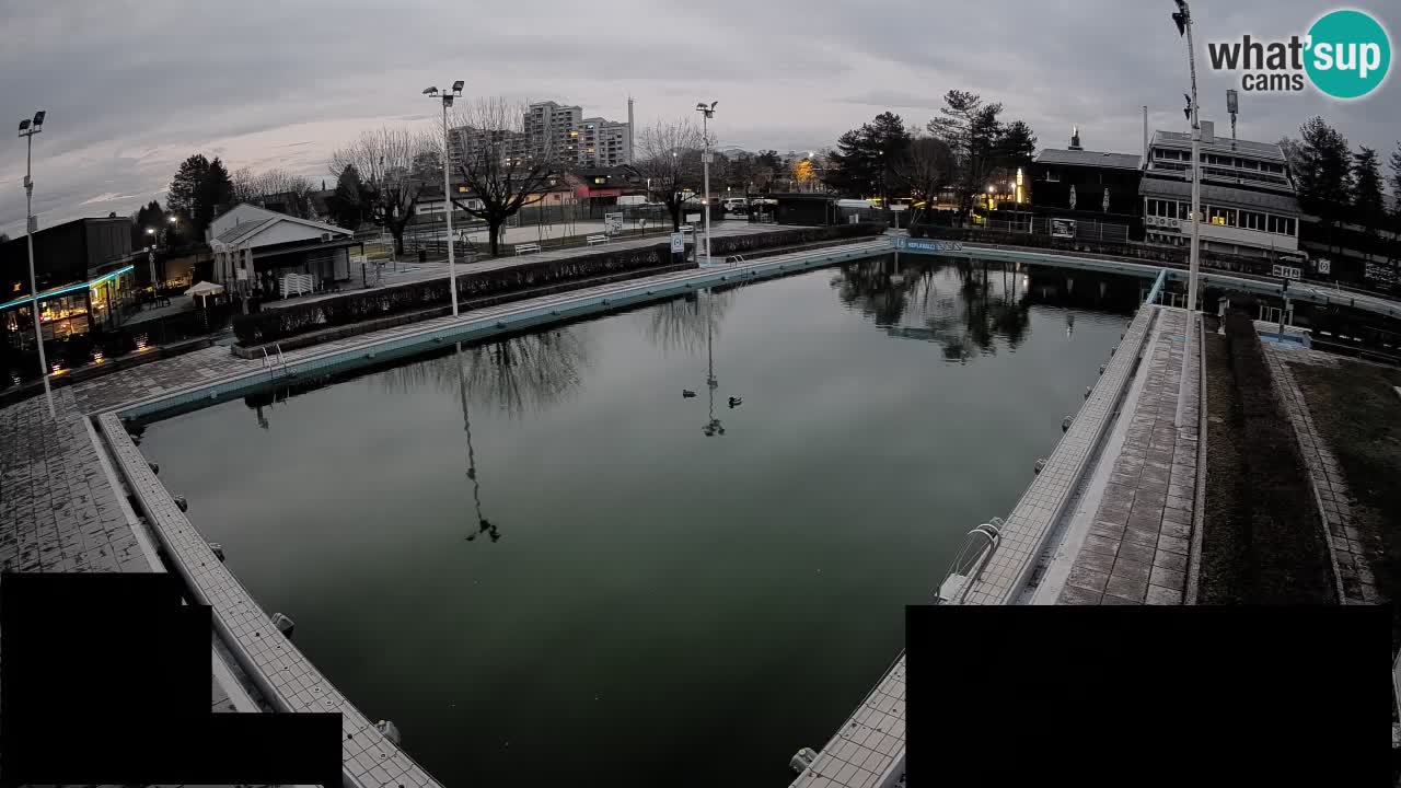 Cámara web Celje – Piscina principal