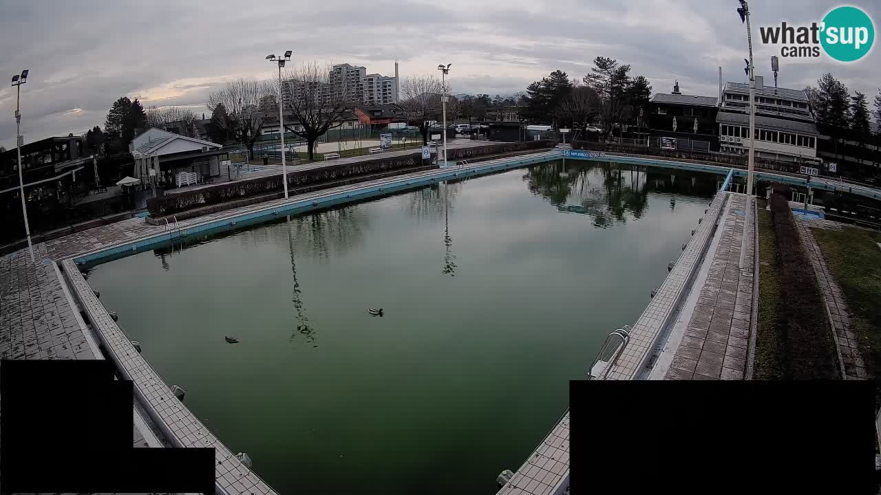 Cámara web Celje – Piscina principal