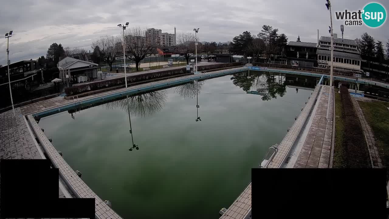 Webcam Celje – Main swimming pool