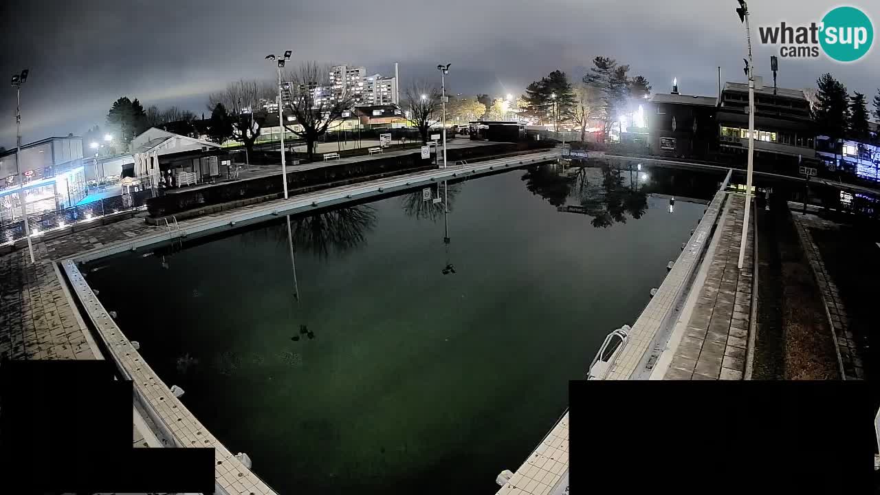 Webcam Celje – Hauptschwimmbad