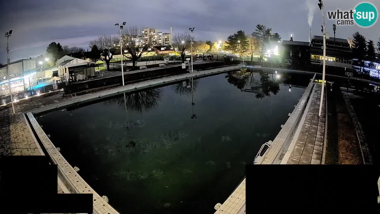 Webcam Celje – Main swimming pool