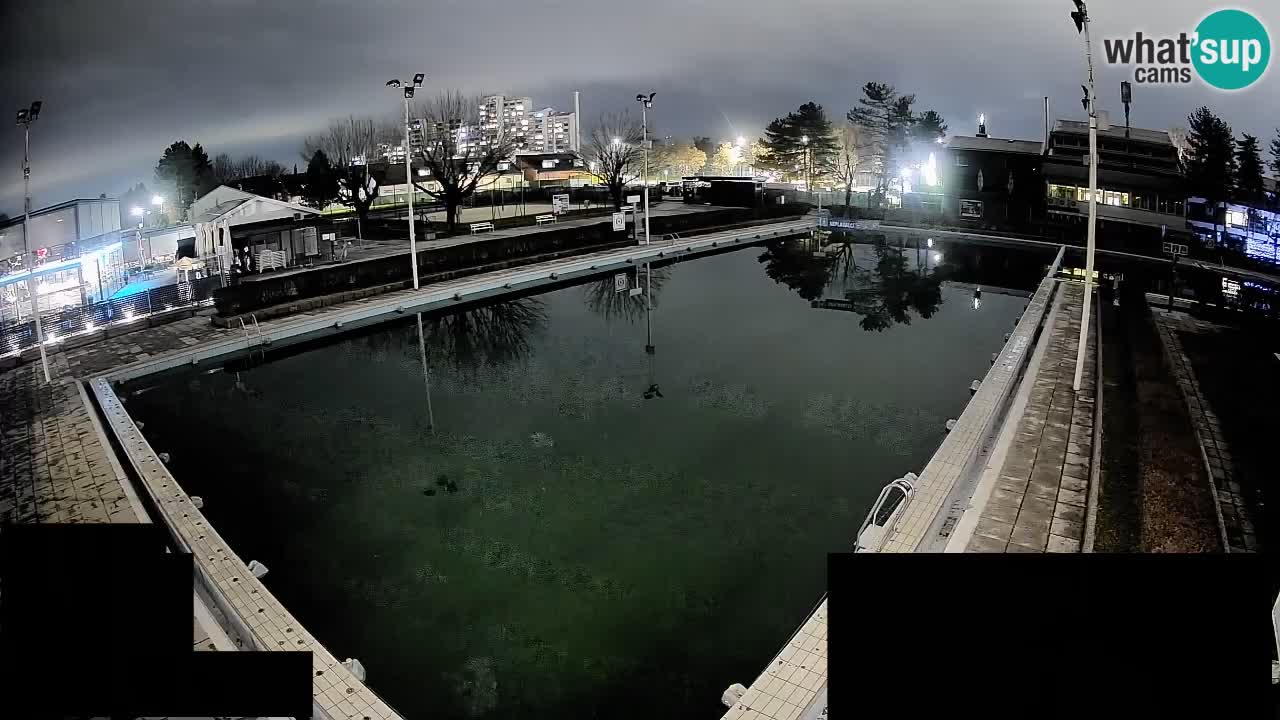 Webcam Celje – Main swimming pool