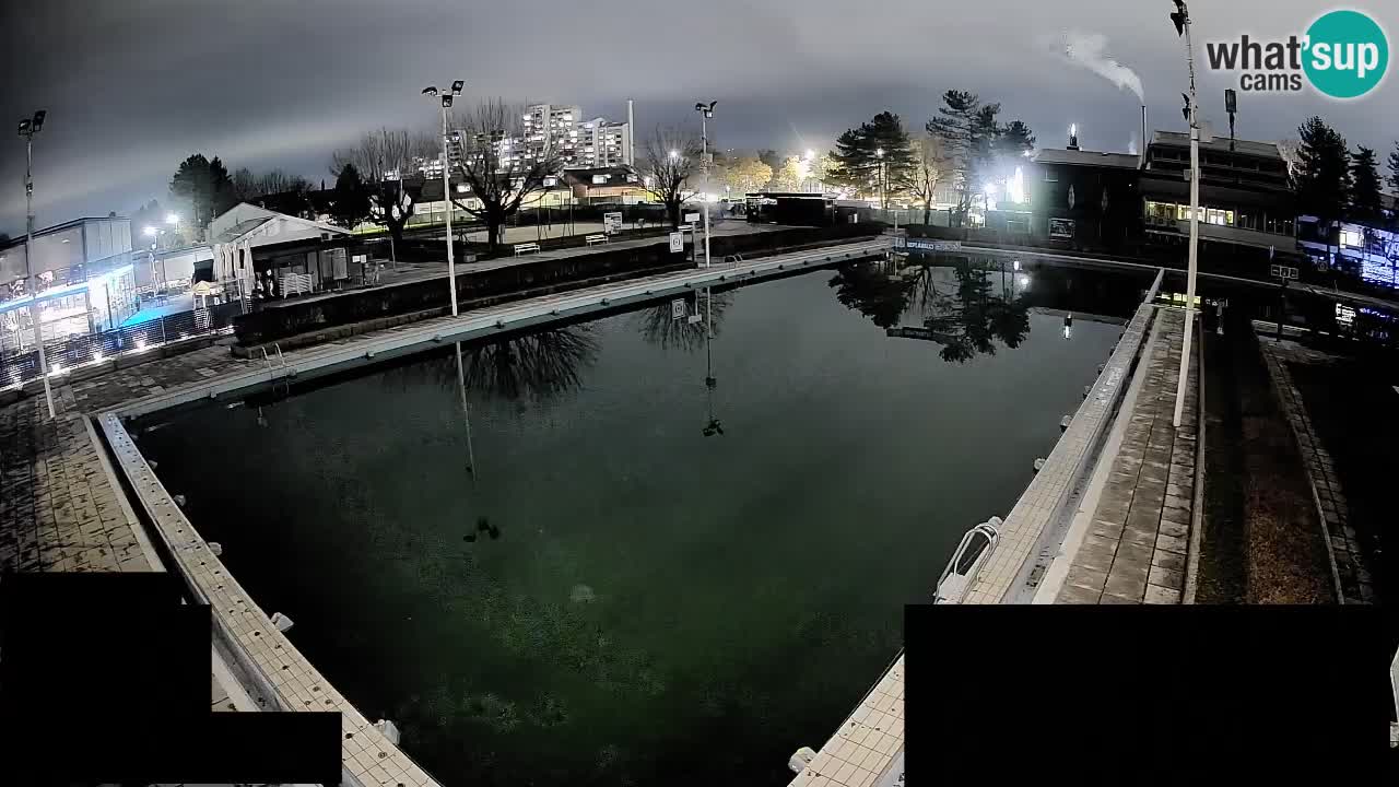 Webcam Celje – Main swimming pool