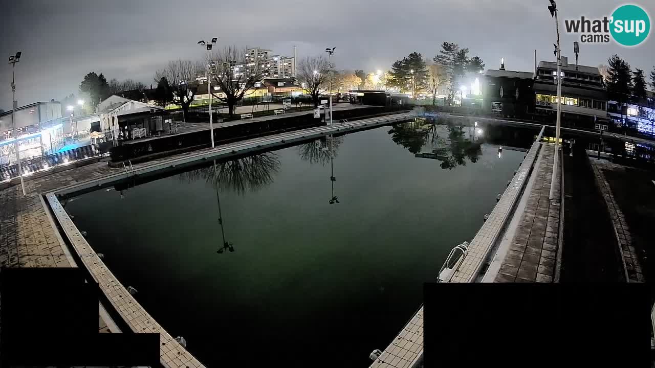 Webcam Celje – Main swimming pool