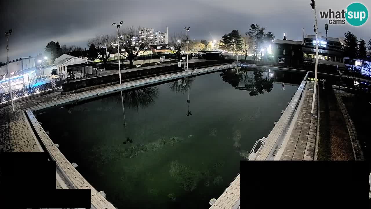 Cámara web Celje – Piscina principal